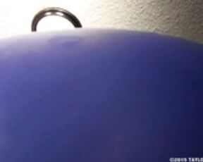 blueberry suit expansion