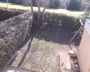 claracokine1 27022017