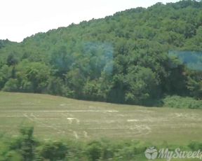 MySweetApple  in a Trip