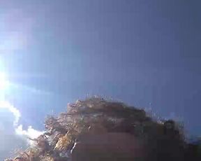 Dandarababyy webcam show 2019-11-21_19-15-41_370