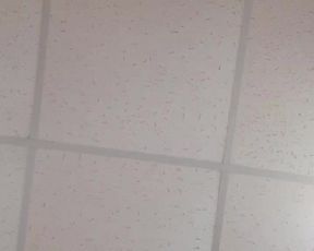 Dzintars_fun webcam show 2019-12-09_16-10-32_361