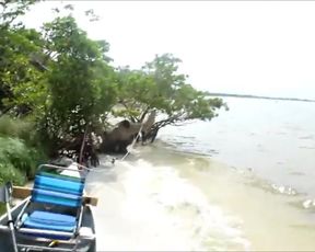 Blancnoir - Sex on the Beach