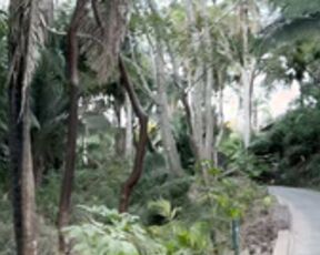 Scarlet # 18 - Balcony Fuck