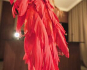 CB - sunshine_______