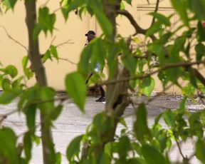 Ashly Anderson Arrested 1080