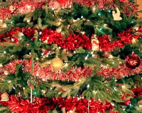 Kati3kat Jingle Bells