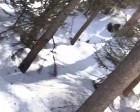 good suck in snow