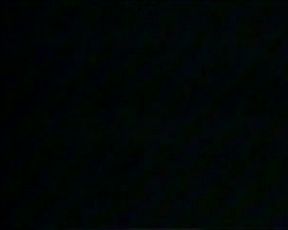 Pam Brown classic model 2