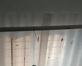 True_vega webcam show 2019-12-29_15-19-08_801