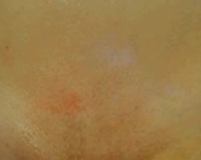 CuteDoll1995 free cam recording 2015 December 14-22.15