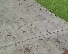 Sunnygray webcam show 2020-01-23_19-53-05_883