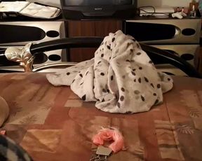Cplnatsti webcam show 2020-01-26_23-42-12_937