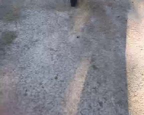 Sensualtania webcam show 2020-01-26_16-36-37_629