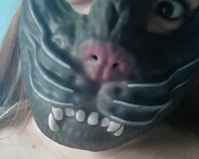 Arteria_ webcam show 2020-02-28_11-27-15_746