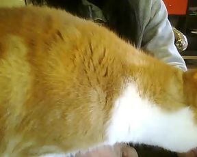 Luxxuriax webcam show 2020-02-26_08-48-02_894