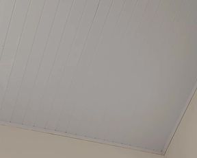 Dandarababyy webcam show 2020-03-12_11-41-06_049