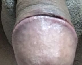 恥ずかしい変態おちんちん