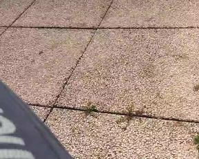 Intrigante66 webcam show 2020-03-29_14-06-00_713