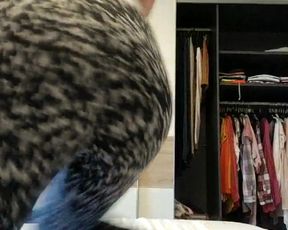 Koqcam webcam show 2020-03-19_17-56-38_246