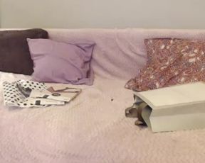 slodkamalolata1 cam recording 2020-08-30 11-17-13 561