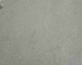 gija cam recording 2020-08-29 13-00-11 292