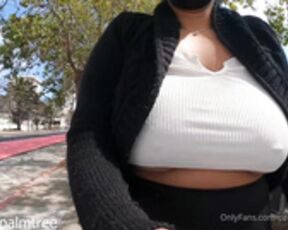 Perridotspalmtree public walk and workout