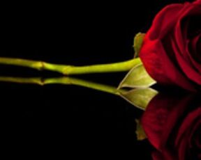 Nastya 220619 1530 Lush-Strpitease