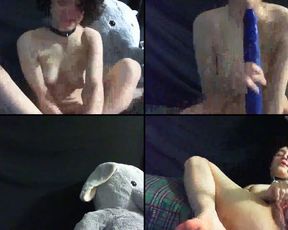Cuddlychaos cam recording 2017-01-21 104112