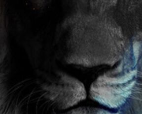 Karillia69 Private webcam