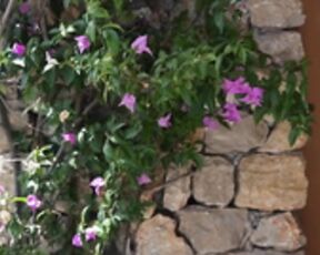 Laurine and friends Mallorca Shooting no nudity