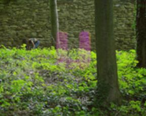 Stefanie Moon - Cockollo Castle Episode 2