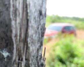 ibarbie - Stranger Catches a Pissing Teen on a Campsite